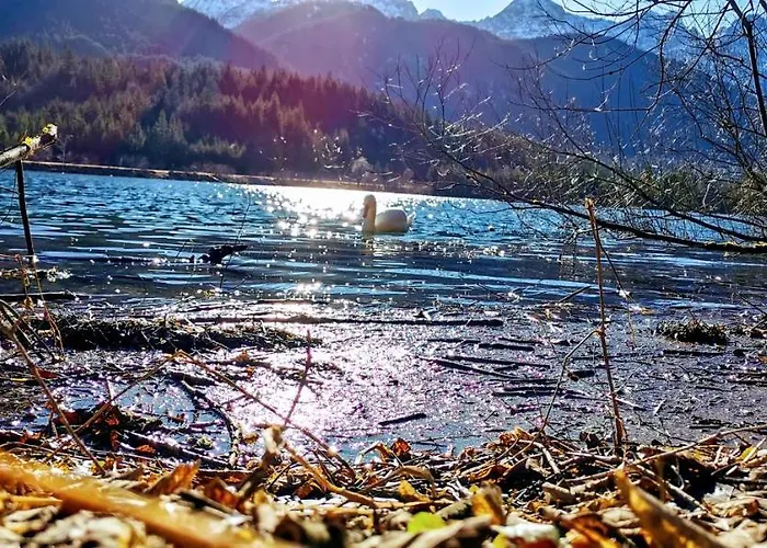 Gaestehaus Simon Apartmán *